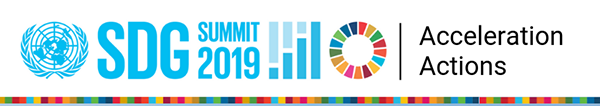 SDG Accelerator Action